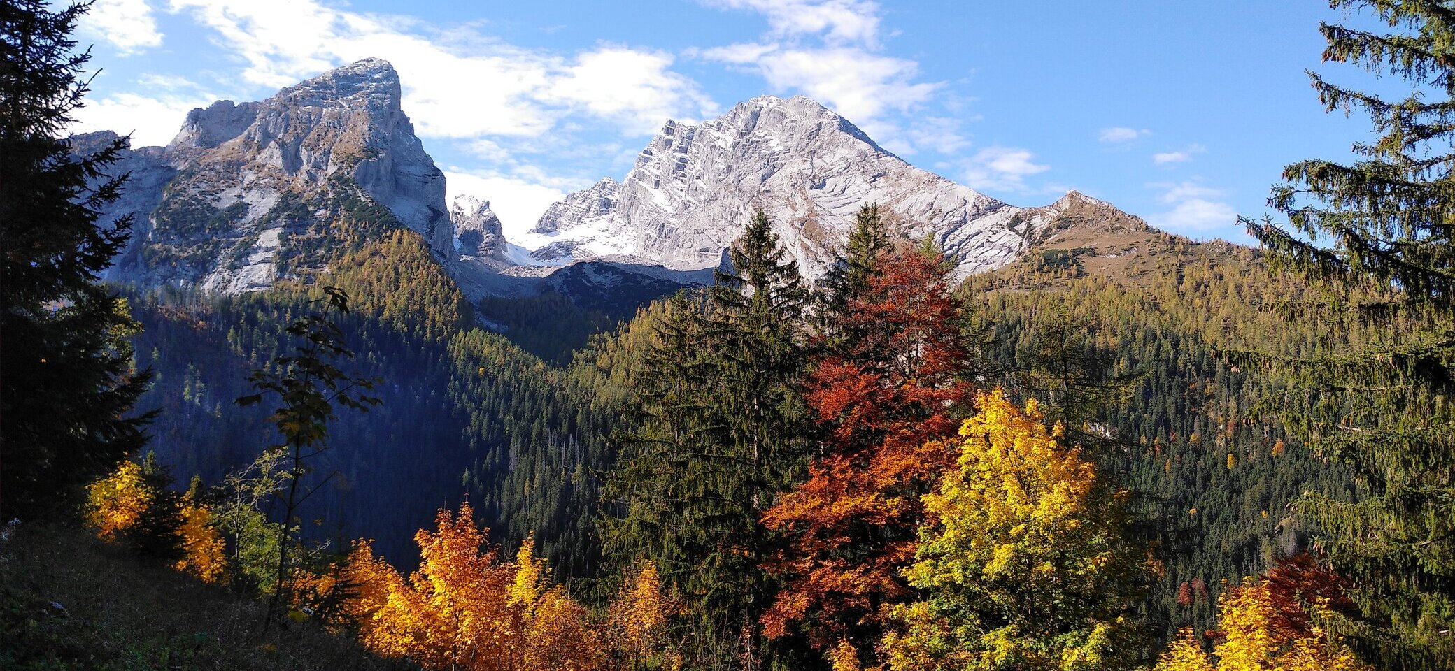 Herbst | © Daniel Hrassky